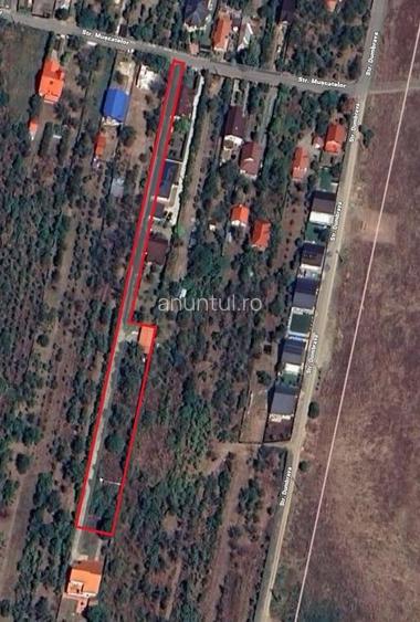 Teren de 2500 mp, în Păulești