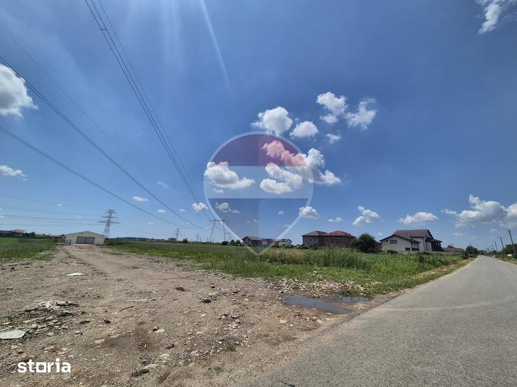 Teren intravilan de vanzare 4.087 mp Clinceni Olteni Ilfov - 3