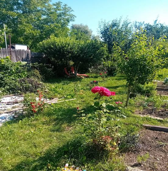 Casă cu 4 camere cu Teren 1100 Mp în Mănăștur