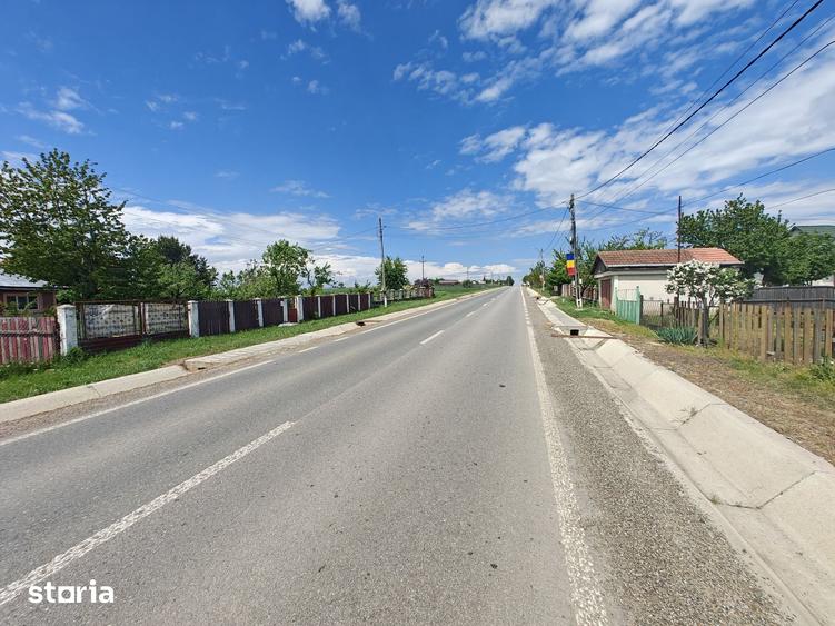 Teren de 50000 mp, în Movileni