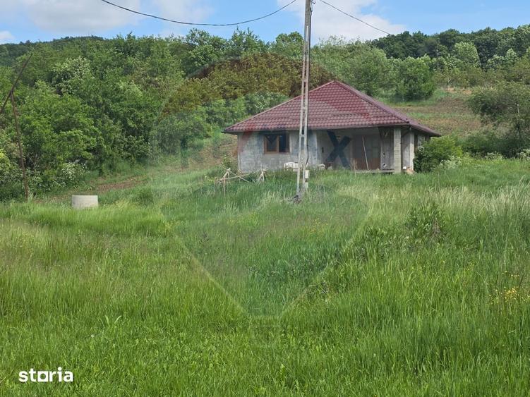 Casă cu 3 camere cu Teren 4234 Mp în Adămuș