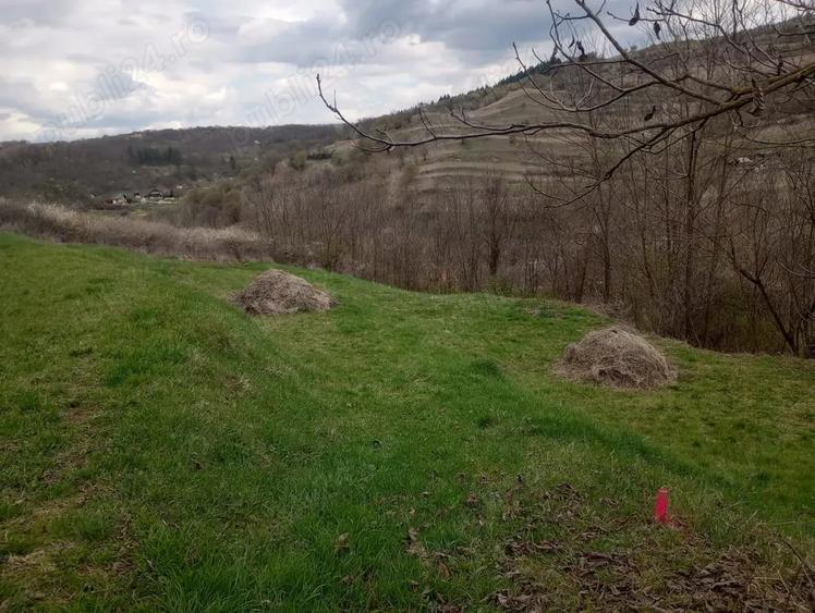Teren de 771 mp, în Tăuți