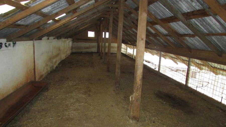 Casă cu 3 camere cu Teren 2900 Mp în Vețel