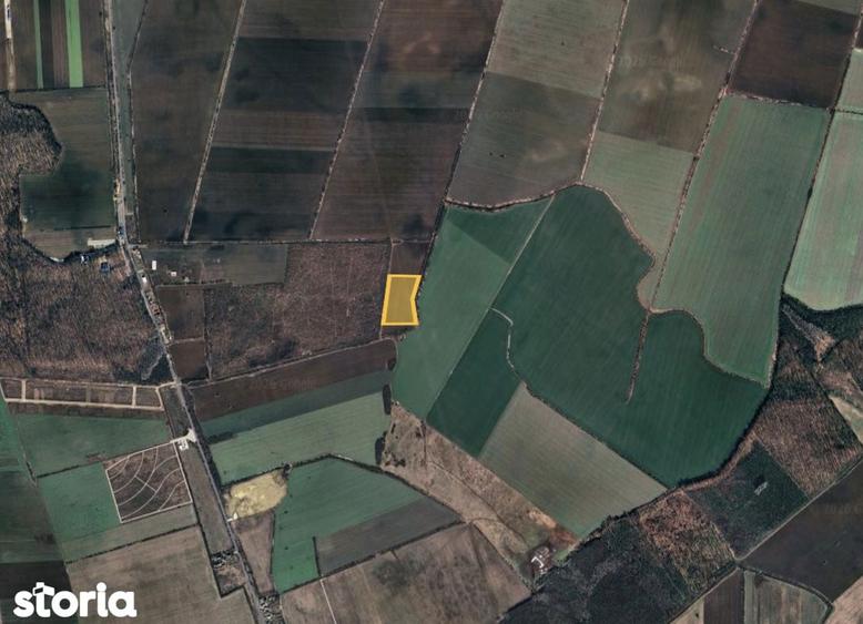 Teren de 25000 mp, în Butimanu