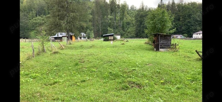 Teren de 1400 mp, în Măneciu