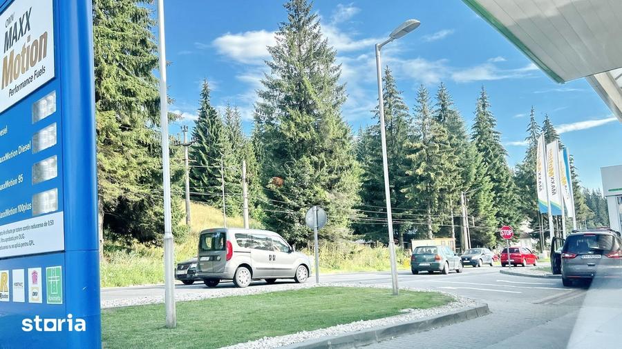 Teren de 9000 mp, în Malul Ursului