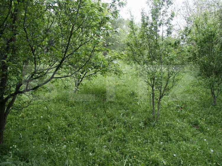 Teren Construcții intravilan de 884 mp, în Fieni