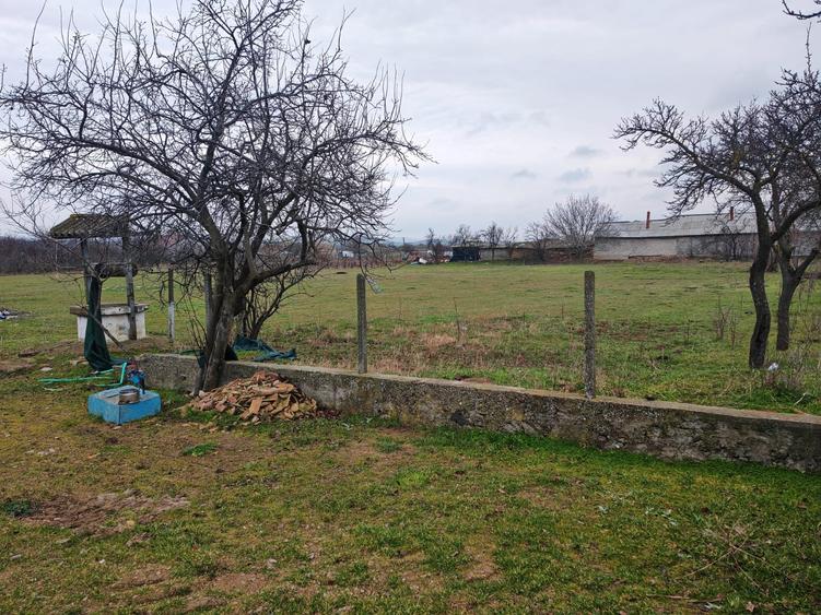 Casă bătrânească + Teren generos 4.208 mp – Cerna, Tulcea (Toate utilitățile) - 8