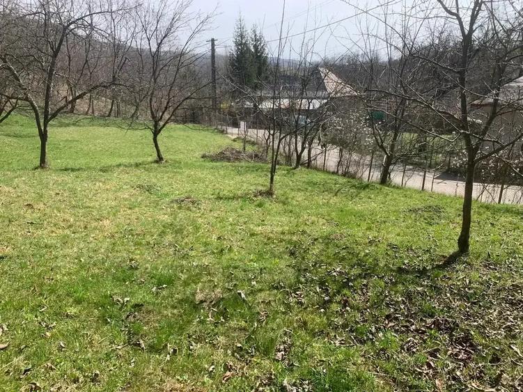 Teren intravilan de 5500 mp, în Provița de Sus