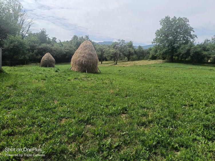 Casă cu 3 camere în Breb