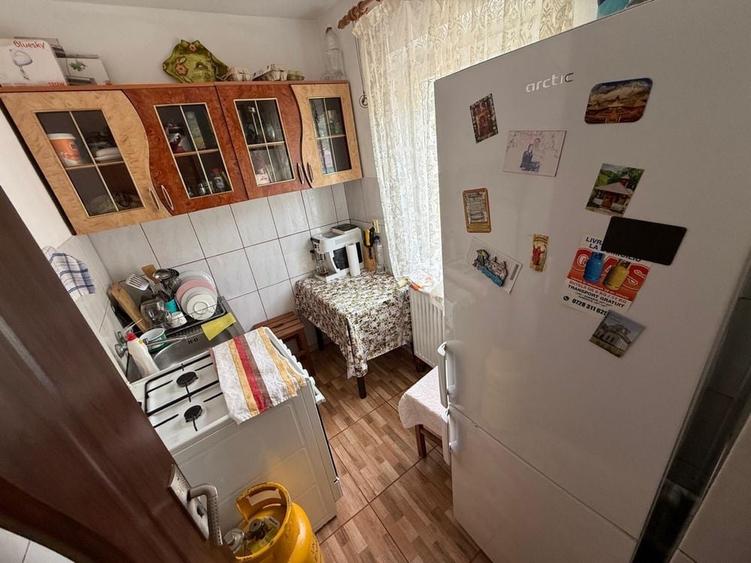 Apartament 1 camera Baile- Herculane - 9