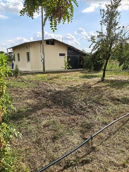 Casă cu Teren 3500 Mp în Central