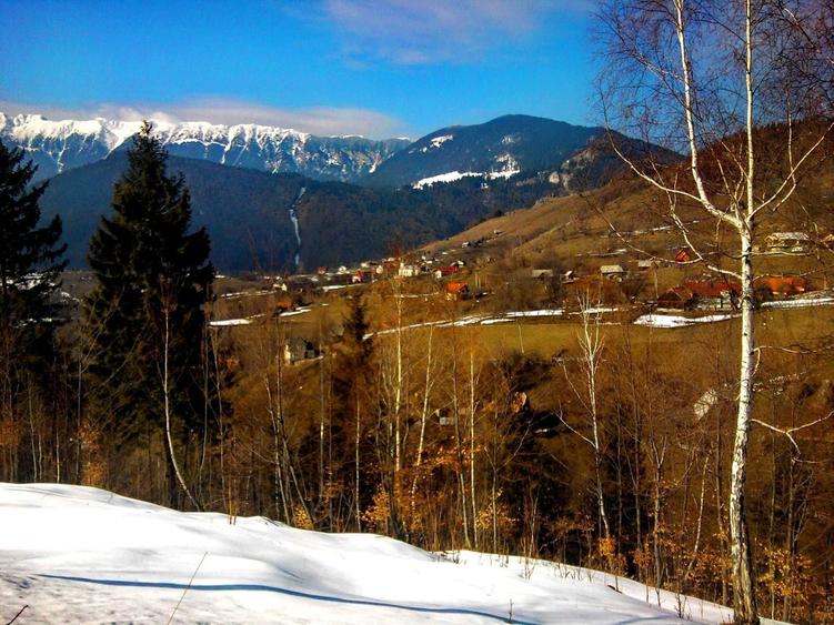 Teren Construcții intravilan de 14000 mp, în Bran