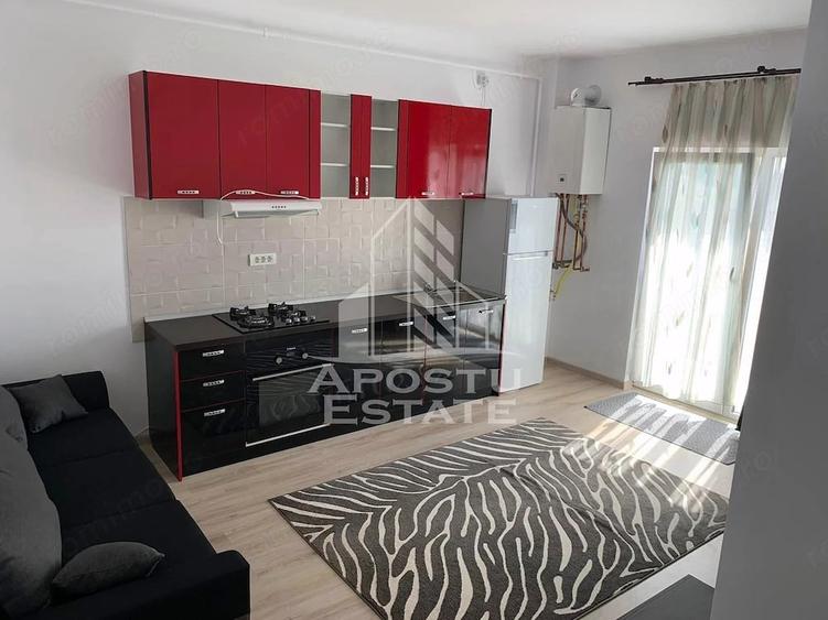 Apartament cu 2 camere decomandat în Bucovăț (Remetea Mare)