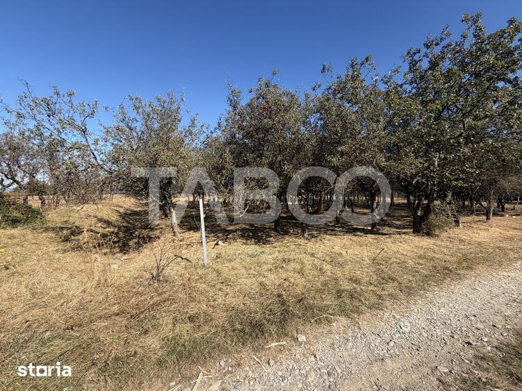Teren de 750 mp, în Sâmbăta de Sus