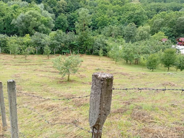 Teren agricol extravilan de 1953 mp, în Livezile