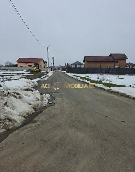 Teren Intravilan Domnesti  | 1200mp  | Posibilitate constructie | - 5