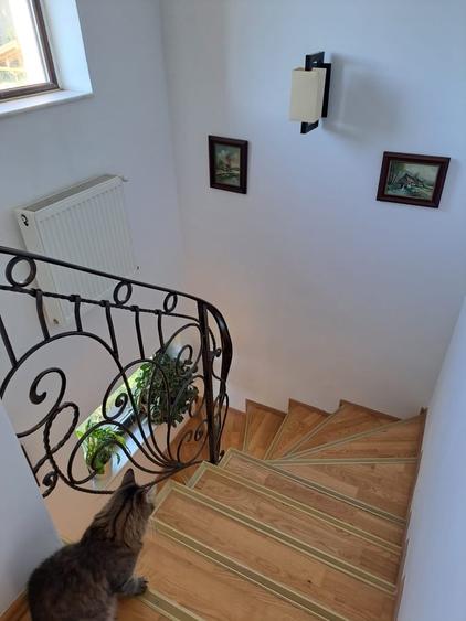 Casă cu 4 camere cu Teren 300 Mp în Bragadiru