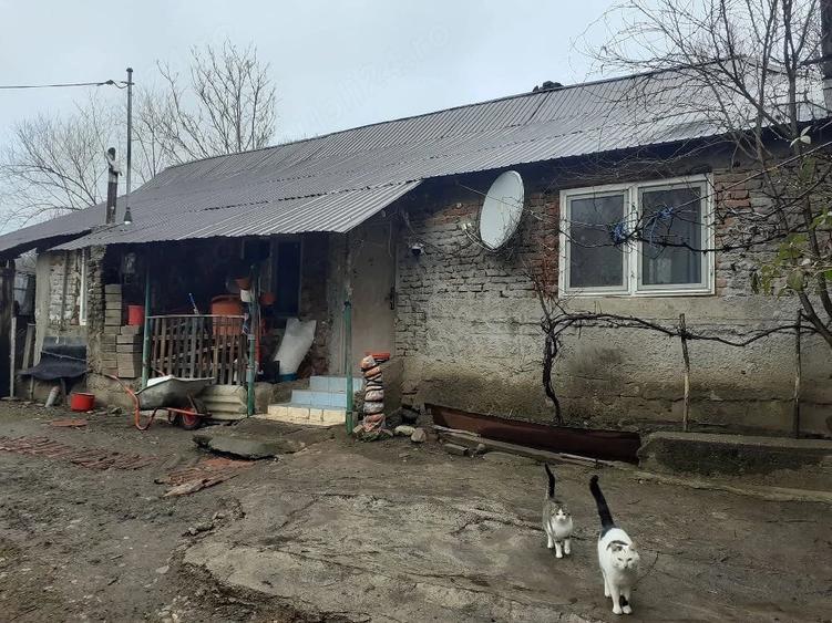 Casă cu 2 camere cu Teren 2680 Mp în Măceu