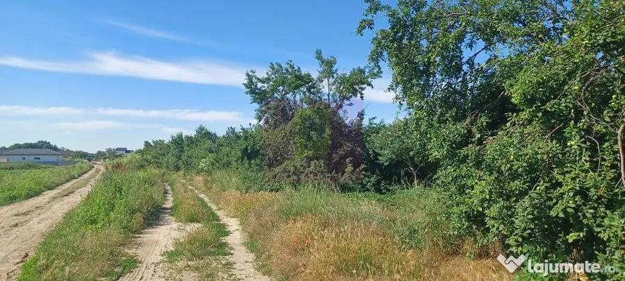 Teren în Săbăreni