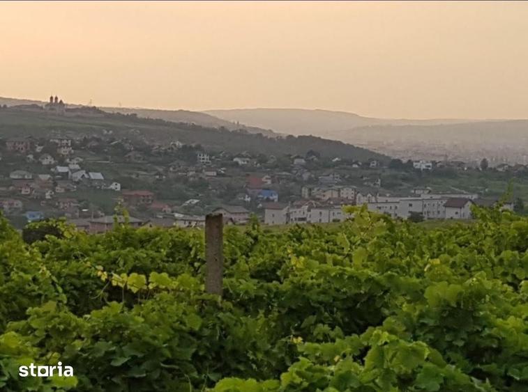 Teren de 1600 mp, în Bârnova