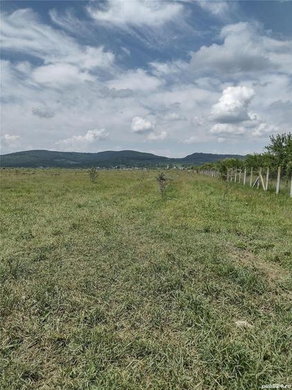 Teren de 50000 mp, în Jelna
