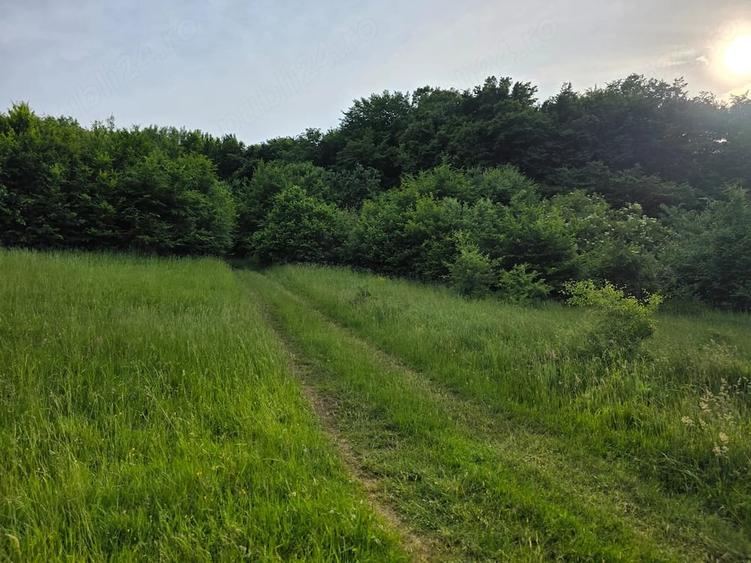 Teren de vanzare intravilan partial in zona Feleacu, la 15km de Cluj Napoca -5342mp. - 17