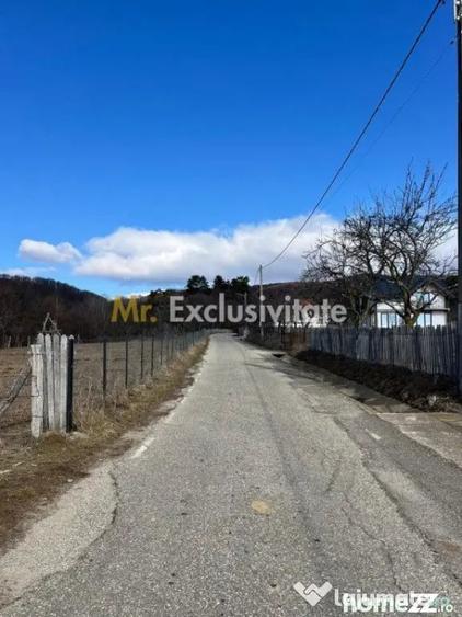 Teren în Cicănești