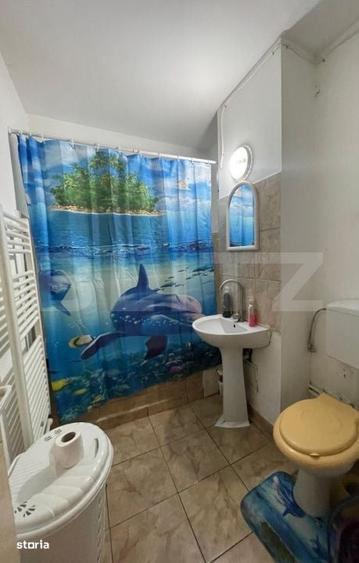 Apartament cu 3 camere decomandat în Viișoara