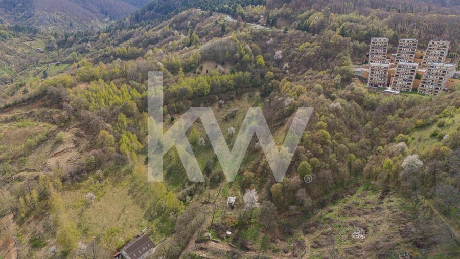 Teren Construcții intravilan de 9102 mp, în Drumul Poienii