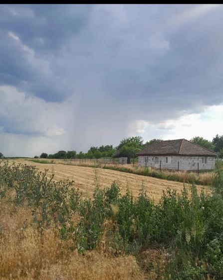 Teren de 3690 mp, în Poiana Mare