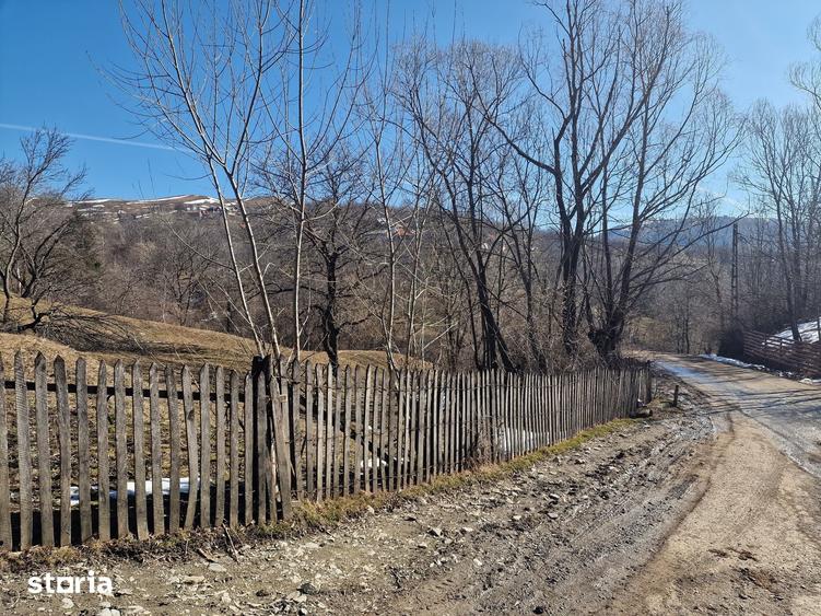 Teren de 4100 mp, în Secăria