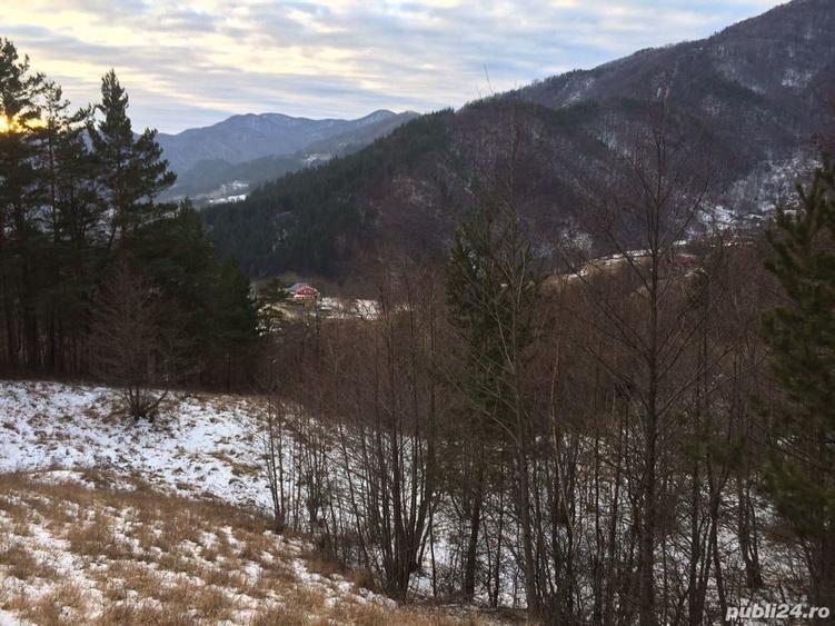Teren de 4420 mp, în Vinețisu