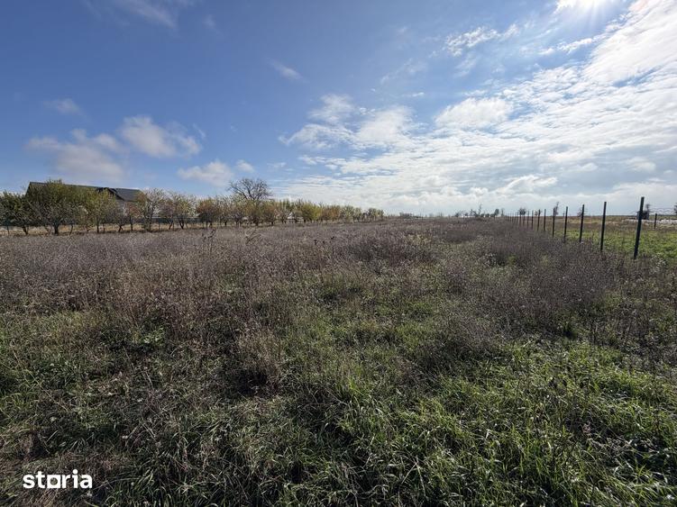 Teren de 7000 mp, în Filipeștii de Târg