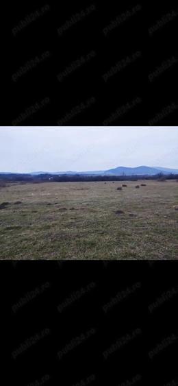 Teren de 9600 mp, în Livezile