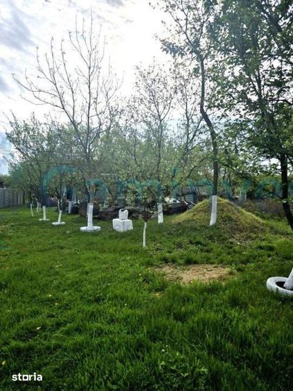 Casă cu 3 camere cu Teren 5300 Mp în Oșorhei