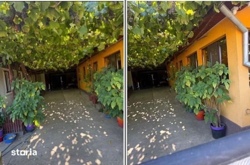 Casă cu 4 camere cu Teren 1079 Mp în Brusturi