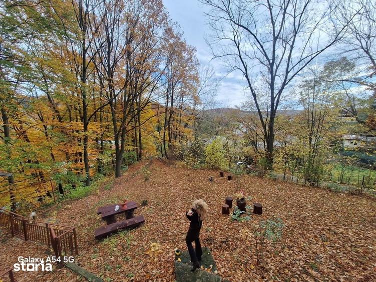 Casă cu 3 camere cu Teren 6242 Mp în Gura Beliei