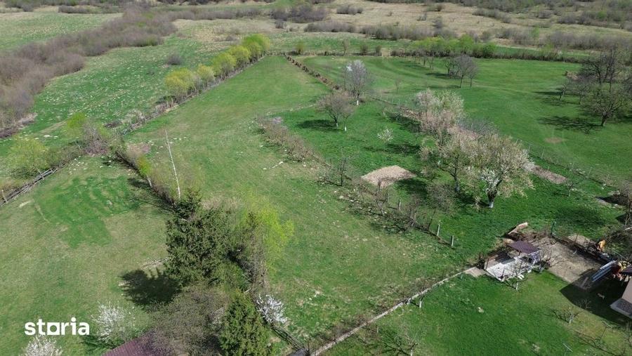 Teren de 4000 mp, în Central