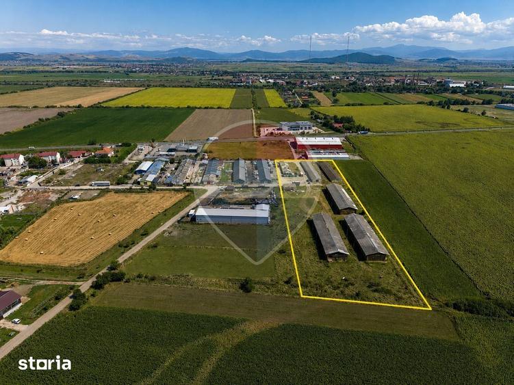 Teren de 17500 mp, în Hălchiu