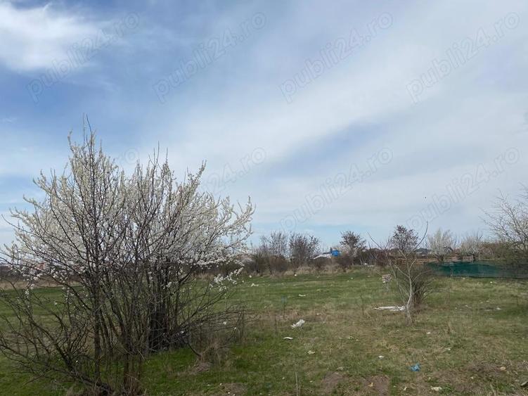 Teren de 937 mp, în Tamași