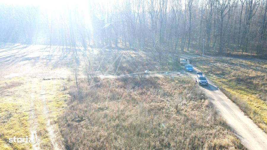 Teren intravilan, 2 fronturi, Drumul Padurea Pustnicu 65 - Greenfield - 4