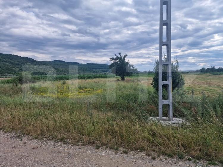 Teren Construcții intravilan de 4300 mp, în Livada (Iclod)