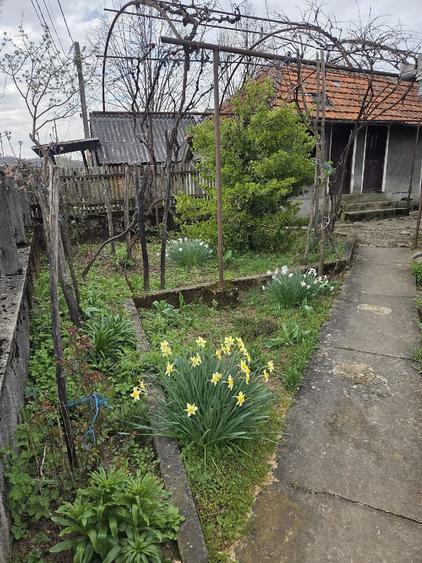 Casă cu Teren 932 Mp în Cracu Muntelui