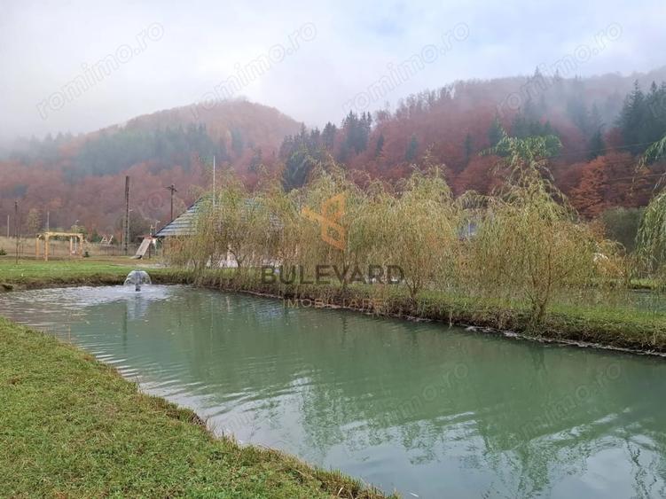 Casă cu Teren 6300 Mp în Groși