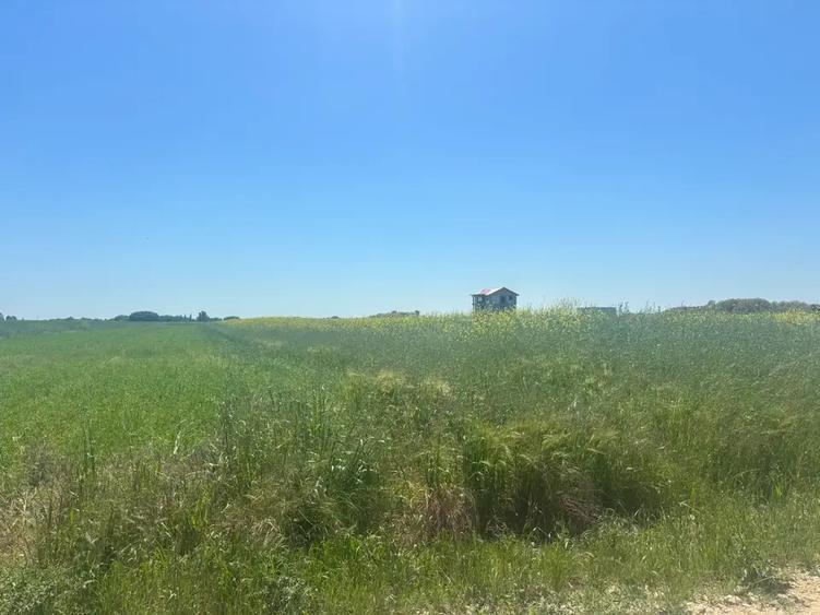 Teren agricol intravilan de 500 mp, în Berceni