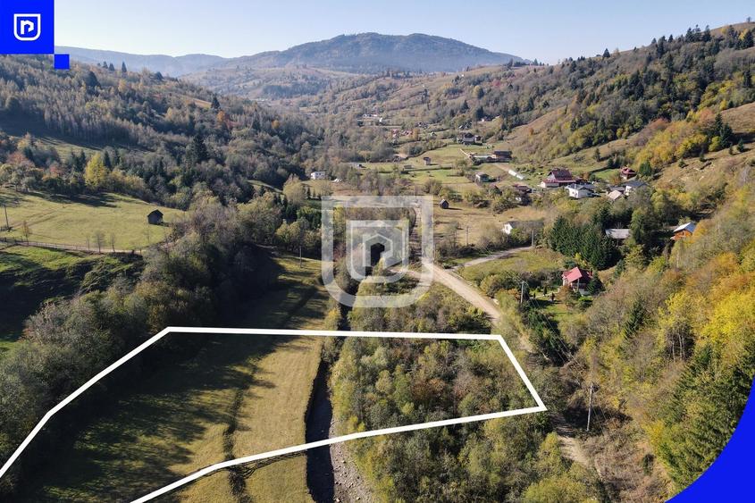 Teren Construcții extravilan de 5000 mp, în Vama