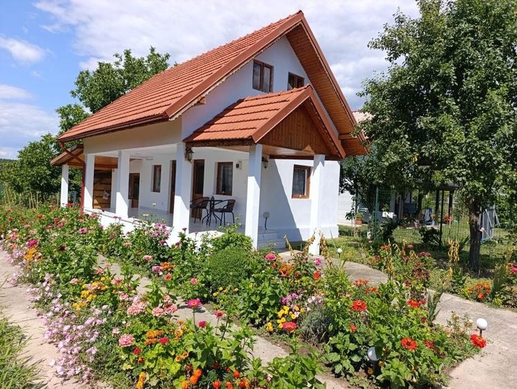 Casă cu 3 camere în Bălești