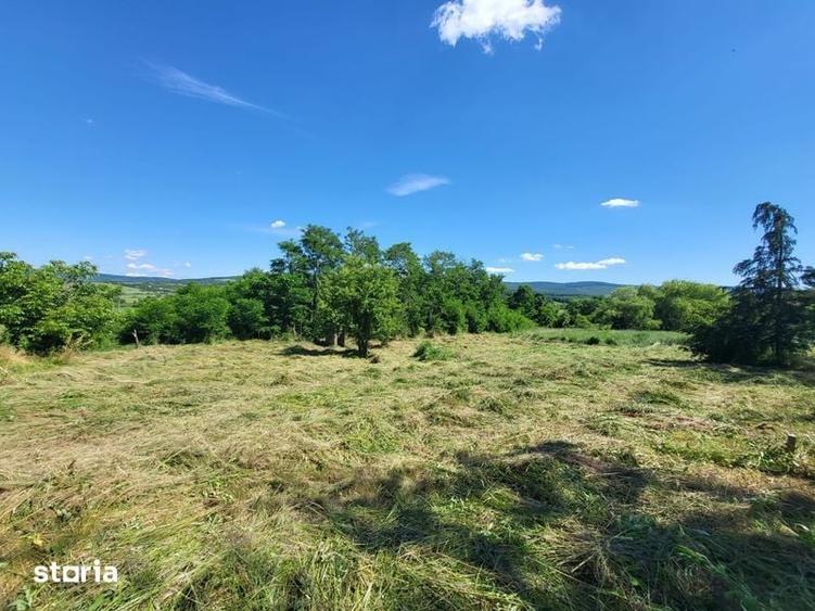 Direct proprietar Vand teren ciurea - 7