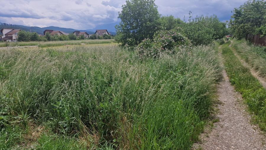 Teren intravilan de 1073 mp, în Cristian